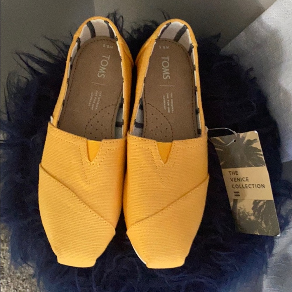 NWT Toms classics  gold fusion